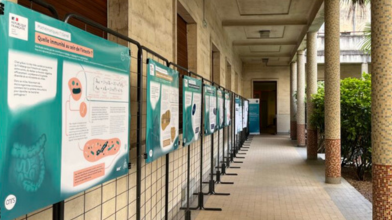  #Exposition Mathématiques en interaction 