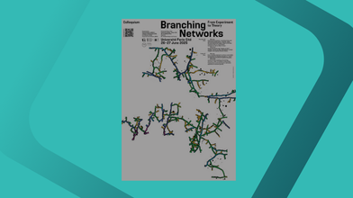 #Conférence « Branching networks: From experiment to theory »