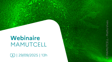  #Webinaire MAMUTCELL 