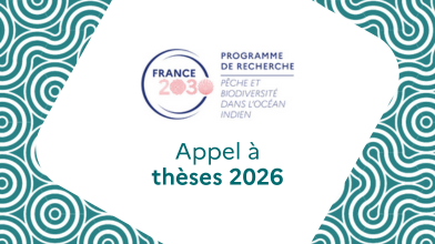  #Appel à thèses 2026 | PEPR Bridges 